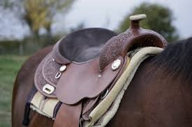 Best Horse Saddles for Long Rides 2020